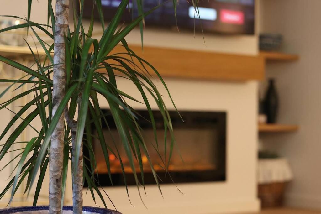 Lc Apartaments Voramar เบนิสกัสซิม ภายนอก รูปภาพ